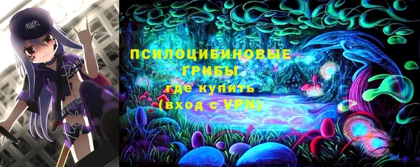 ALPHA PVP Медвежьегорск