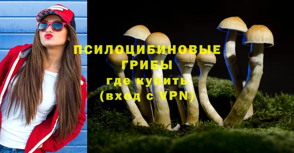 мдпв Медногорск