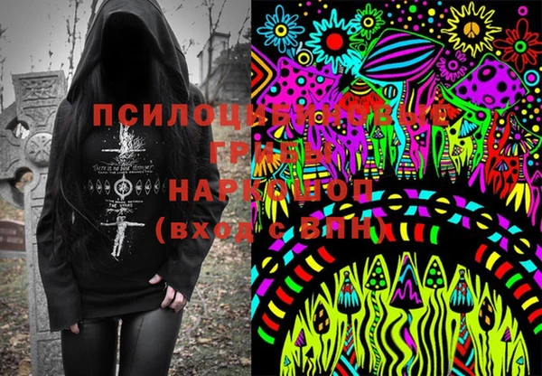 мдпв Медногорск